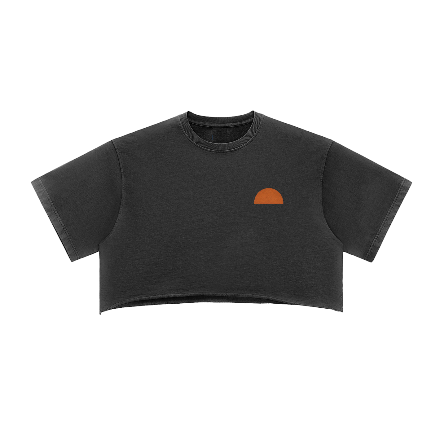 AZAL RŪH Desert Swallow Crop Top | Vintage Sunset Graphic Tee