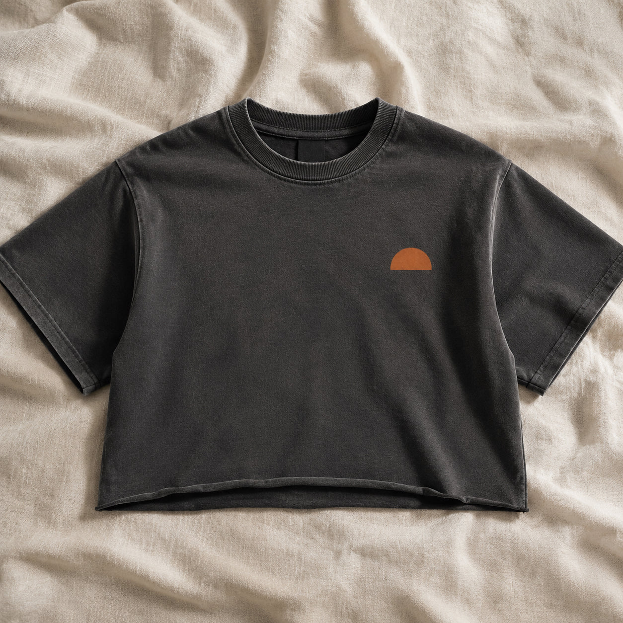 AZAL RŪH Desert Swallow Crop Top | Vintage Sunset Graphic Tee